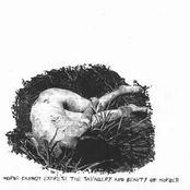 Words Cannot Express The Savagery And Beauty Of Murder