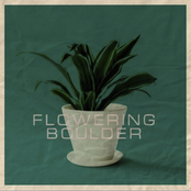 Flowering Boulder