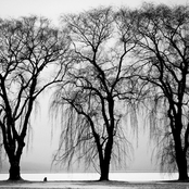 There's Something Rotten in the State of Dover