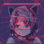 Digital File Selection: Nekophiliac