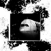 Open invitation to butterflies