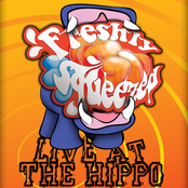 Live at The Hippo