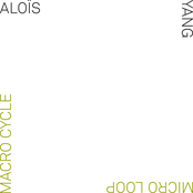 Micro Loop Macro Cycle