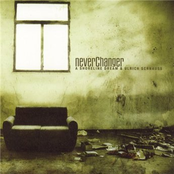 Neverchanger (cacheflowe Remix) by A Shoreline Dream & Ulrich Schnauss