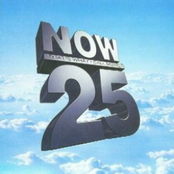 Now That's What I Call Music! 25