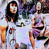 Super Rotten Saiyan Vol 1