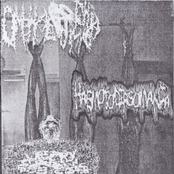 Too EXXXtreme For Scene 3-Way Split