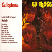 Little Red Donkey by The Troggs