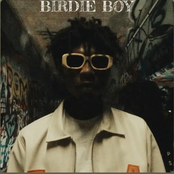 Birdiee Boy
