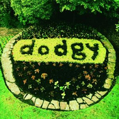 Every Single Day by Dodgy