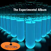 The Experimental Album