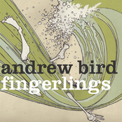 Trimmed + Burning by Andrew Bird