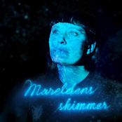 Mareldens skimmer