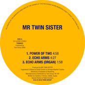 Mr Twin Sister: Power of Two / Echo Arms