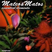 A Life To Come by Mateo & Matos