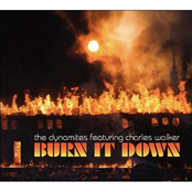 Burn It Down