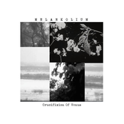 Crucifixion Of Venus