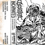 Spiritual Embodiment