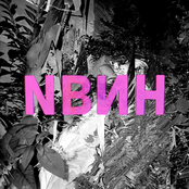 No Brain No Headache