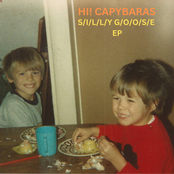 S/I/L/L/Y G/O/O/S/E EP