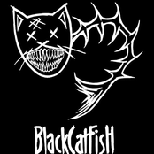 blackcatfish