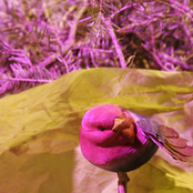 Progress Towards Ranks