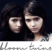 Fahrenheit by Bloom Twins