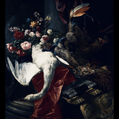 City Lights At Valleys End