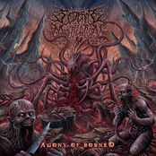SEDERAI MUTILATION: AGONY OF BORNEO
