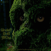 Under The Moss