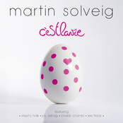 C'est La Vie (fedde Vs Martin Club Mix) by Martin Solveig