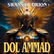 Swans of Orion