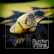 Burden Affinity