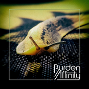 Burden Affinity: Burden Affinity