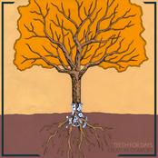 Creature Comfort: Teeth for Days