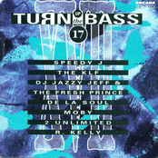 Turn up the bass - volume 17