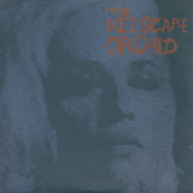 Orchid - The Red Scare Split