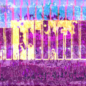 Hardstyle Pest Control