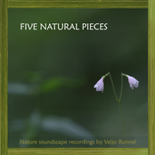 Five Natural Pieces