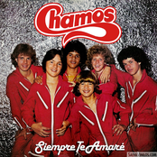 Siempre Te Amare
