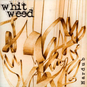 Sound Of Blues by Whit Weed