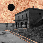 Risorgi