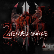 2 Headed Snake