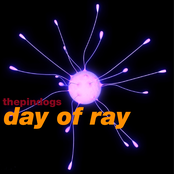 Day Of Ray