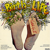 The Birth of The Second Life
