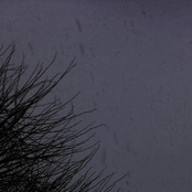 i would kill for the sun to never rise again