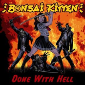 Don't Mess With Me by Bonsai Kitten