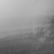 death.by.design and Tangerine Stars