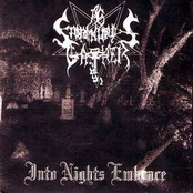 Into Night's Embrace