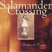 The Last Iron Horse by Salamander Crossing